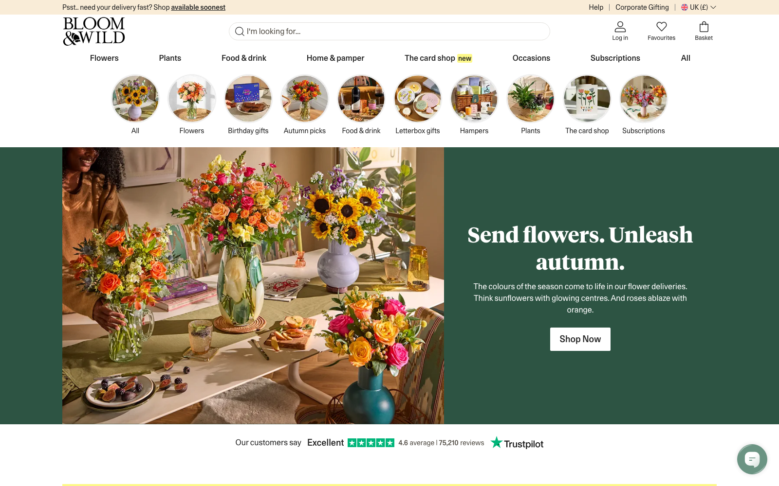 Bloom & Wild homepage captured 2026-09-02 for the Florists 2026 industry analysis.